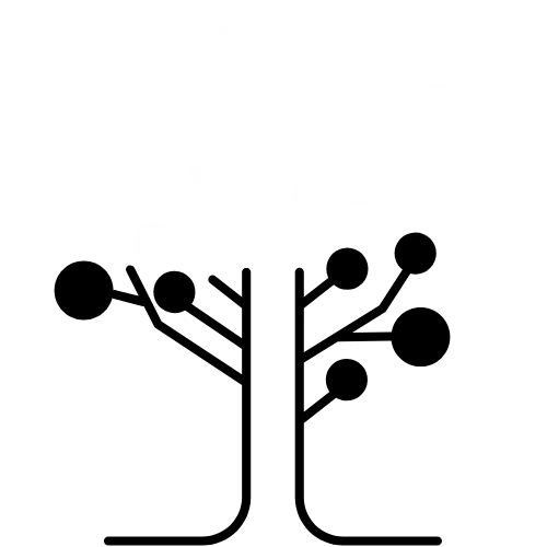 Copy of Rising Reset